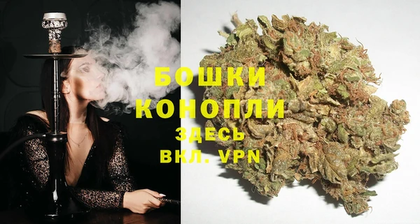 прущие крисы Арсеньев