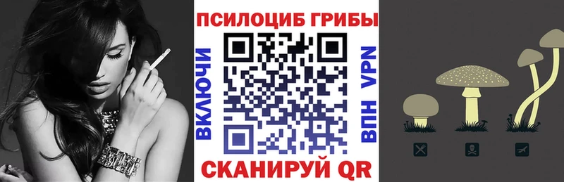 Галлюциногенные грибы Cubensis  Купить закладки  Саратов 
