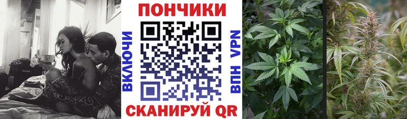 Купить  Саратов  Каннабис тримм 